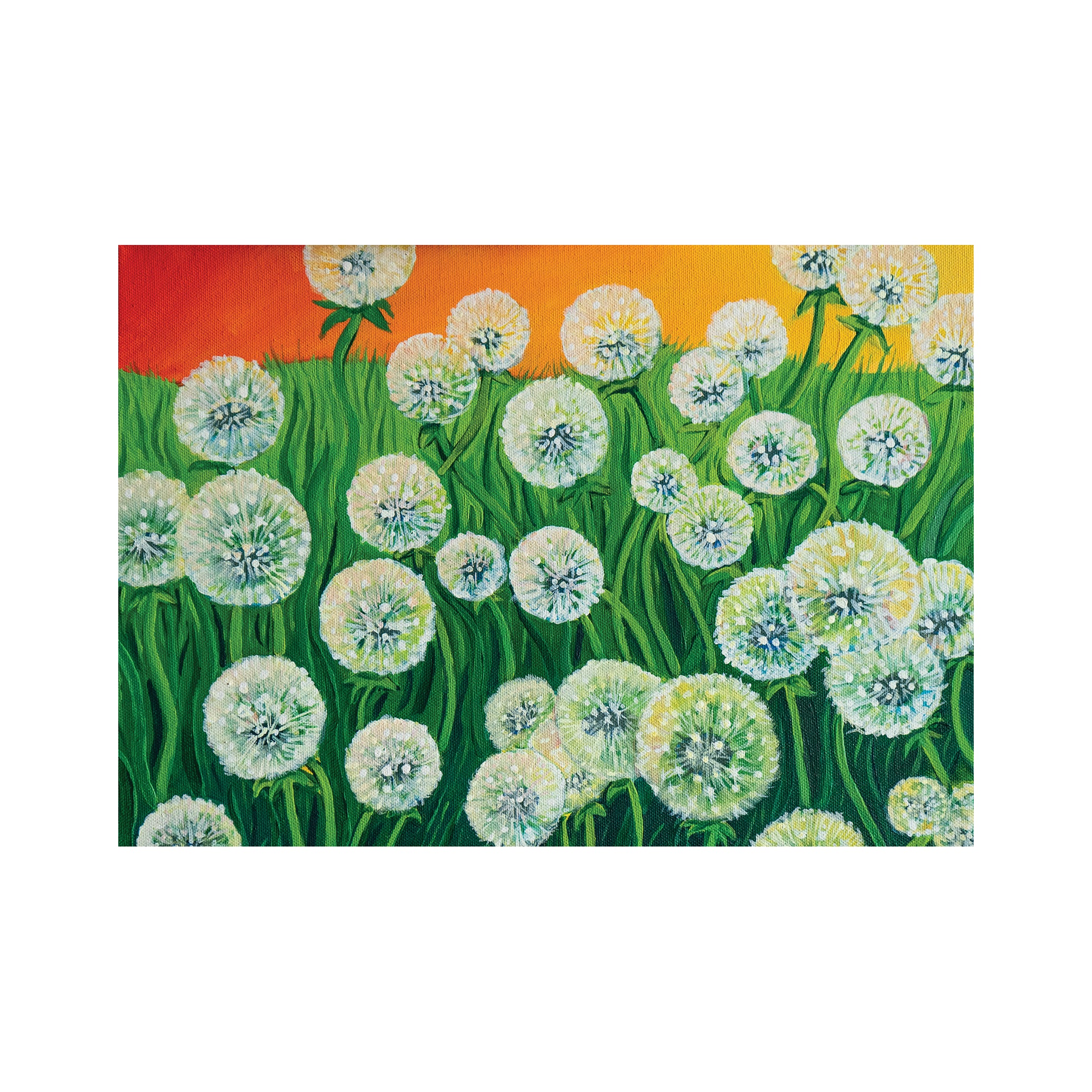Dandelions